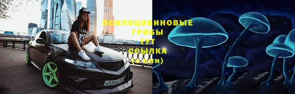 спиды Алексеевка